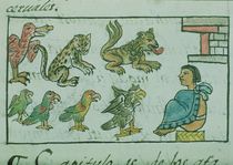 Ms Palat. 218-220 Book IX Animals of the Aztec Emperor by Spanish School