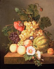 Still life with fruit von Johannes Cornelis Bruyn
