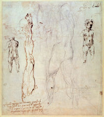 Anatomical drawings with accompanying notes von Michelangelo Buonarroti