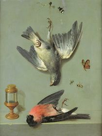 Still Life With Birds and Insects von Jean-Baptiste Oudry