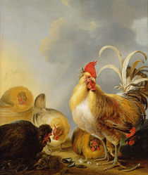 A Group of Farmyard Fowl, 1643 von Gysbert Hondecoeter