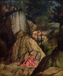 St. Jerome Meditating in the Desert by Lorenzo Lotto