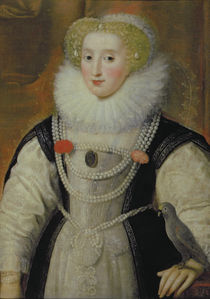 Portrait of an Elizabethan Lady with a Parrot von English School