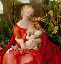 Virgin and Child 'Madonna with the Iris' by Albrecht Dürer