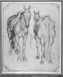 Two horses, from the The Vallardi Album by Antonio Pisanello