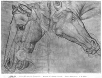 Heads of horses, from the The Vallardi Album von Antonio Pisanello