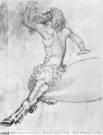 Centaur, from the The Vallardi Album von Antonio Pisanello