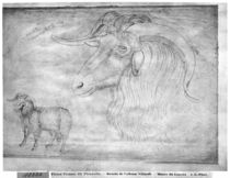 Ram and head of a ram, from the The Vallardi Album von Antonio Pisanello
