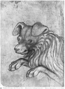 Head of a dog, from the The Vallardi Album by Antonio Pisanello