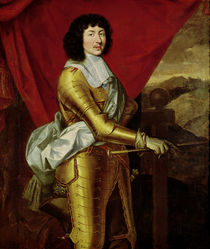 Louis XIV by Pierre Mignard