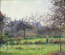Morning Sun, Autumn, Eragny by Camille Pissarro