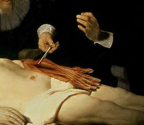The Anatomy Lesson of Dr. Nicolaes Tulp by Rembrandt Harmenszoon van Rijn