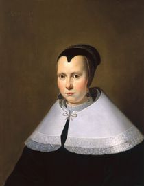Portrait of a Woman by Michiel Jansz. van Miereveld