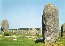 Alignment of standing stones von Prehistoric