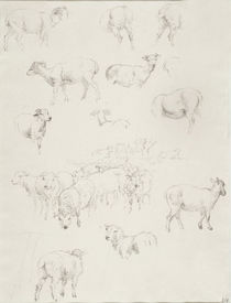 Flock of Sheep, after 1794 von Robert Hills