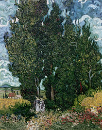 The cypresses, c.1889-90 by Vincent Van Gogh