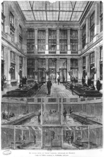 Interior and cross-section of the new Credit Lyonnais Hotel von French School