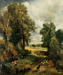 The Cornfield, 1826 von John Constable