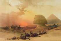 The Sphinx at Giza von David Roberts