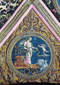 Venus, from the Sala dell'Udienza von Pietro Perugino