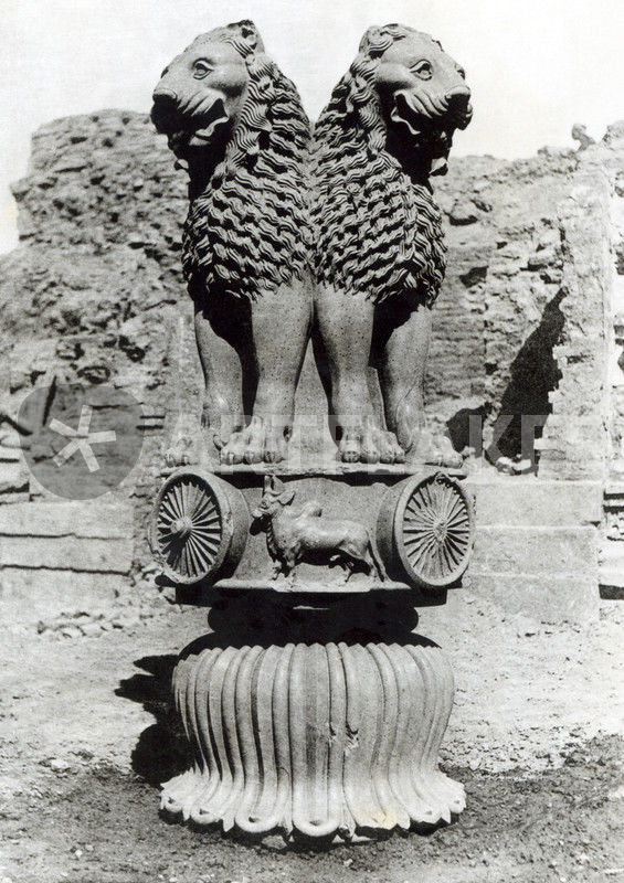 Lion capital from the Pillar of Emperor Ashoka