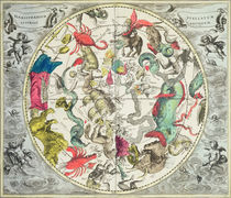 Map of the Southern Hemisphere von Andreas Cellarius