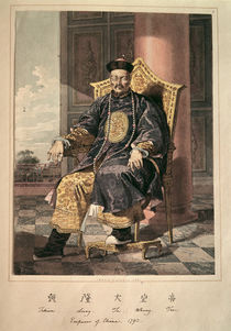 Portrait of Ch'ien-Lung Ti Emperor von Chinese School