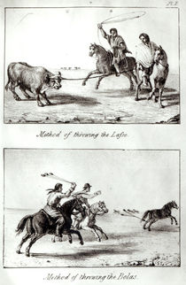 Methods of Throwing the Lasso and the Bolas by John Miers