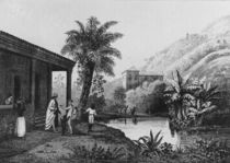 Coffee Plantation,from 'Bresil by French School