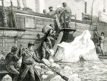 The Arctic Expedition Watering from an Iceberg by English School