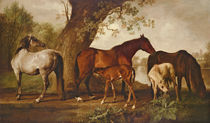 Mare and Foals von George Stubbs