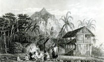 Interior of Pitcairn Island by William Beechey
