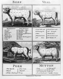 Beef, Veal, Pork, and Mutton Cuts by English School