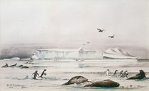 Antarctic Landscape by Edward Adrian Wilson