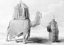 The Sacred Camel by Alexis-Alexandre Perignon