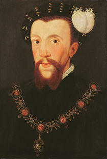 Portrait of Henry Howard, 1546 by English School