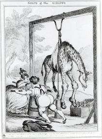 State of the Giraffe, 1829 von William Heath