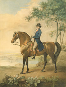 Warren Hastings on his Arabian Horse von George Townley Stubbs