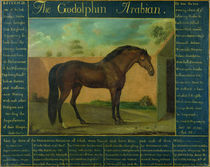 The Godolphin Arabian by D. Quigley