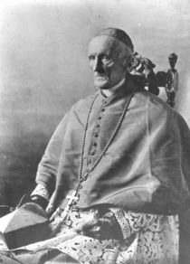 Portrait of Cardinal Manning von English Photographer