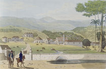 Montpelier Estates, St James von James Hakewill
