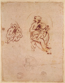 Study for the Virgin and Child von Leonardo Da Vinci