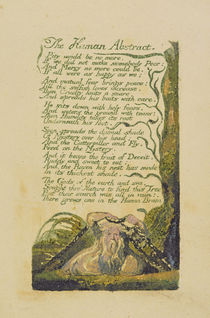 'The Human Abstract', plate 45 from 'Songs of Experience von William Blake