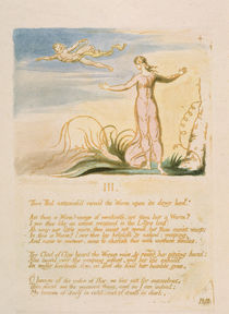 'Then Thel astonish'd...', plate 6 from 'The Book of Thel', 1789 von William Blake