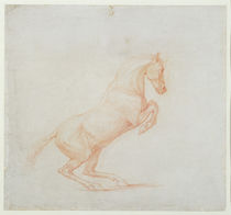 A Prancing Horse, facing right by George Stubbs