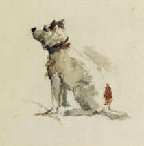 A Terrier, sitting facing left von Peter de Wint