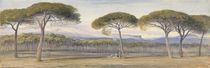 A View of the Pine Woods Above Cannes von Edward Lear
