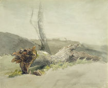The Fallen Tree, c.1804 by Robert Hills
