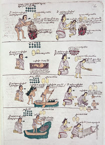 Page from the Codex Mendoza by Spanish School