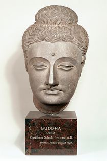 Head from a statue of the Buddha von Indian School